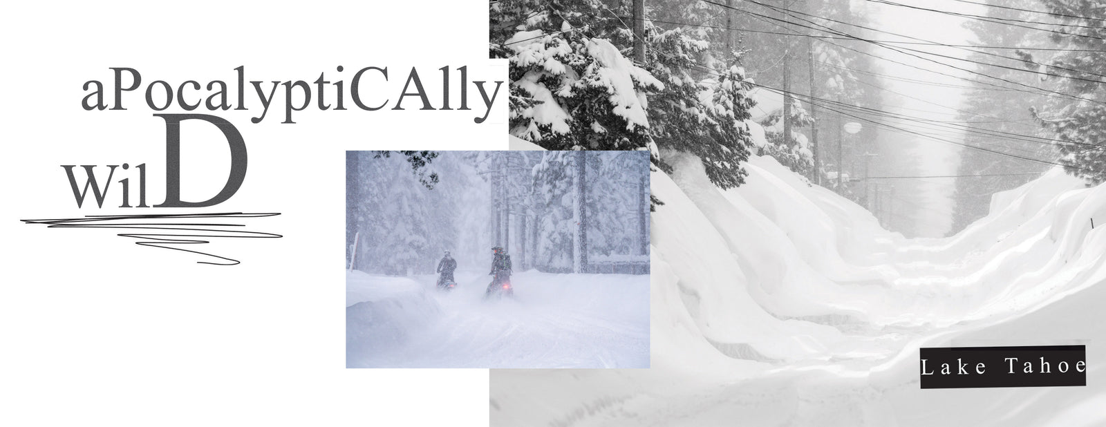 POWDER - The Skier's Magazine Vol. 50/Issue 1: Ultimate Stories From The Mountain, The Culture, Life In Photos, Mammoth Mountain, Lake Tahoe, Wasatch Range, Backcountry Slopes...A Coffee Table Must!