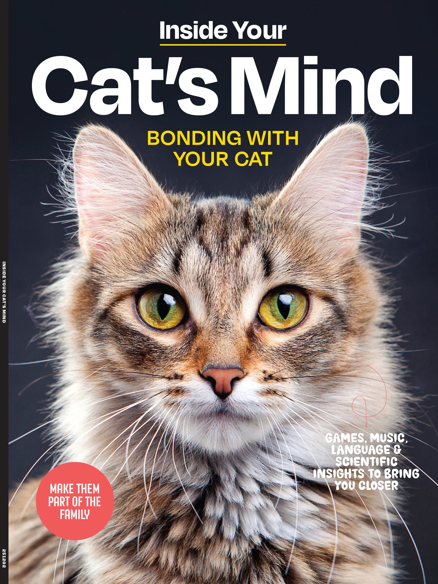 Inside Your Cat’s Mind Essential Tips For Bonding, Communication, Un