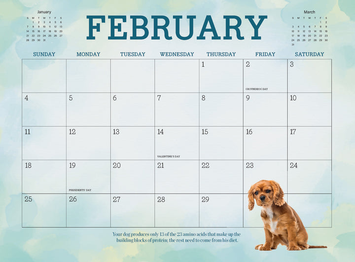 2024 Calendar - Adorable Dogs: A Years Worth Of Canine Facts, Trivia, – Magazine Shop US 2024-calendar-adorable-dogs-a-years-worth-of-canine-facts-trivia-magazine-shop-us