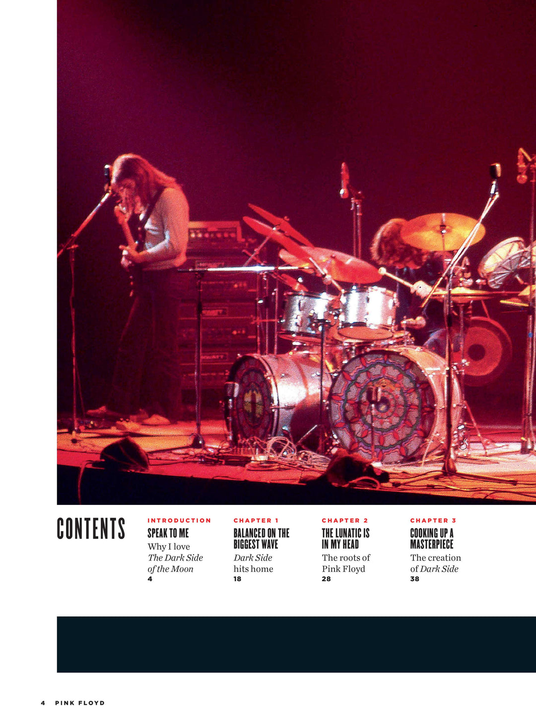 Disco Di Platino Pink Floyd The Wall - Edizione Limitata Con Cornice | Collezione Da Parete - Foto 6