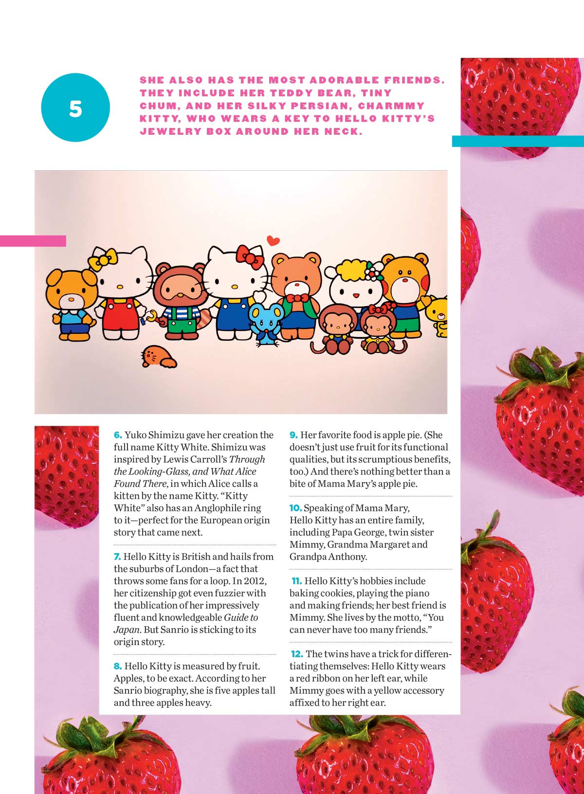 Hello Kitty - Ultimate Fan Guide: Designer Yuko Shimizu, Facts