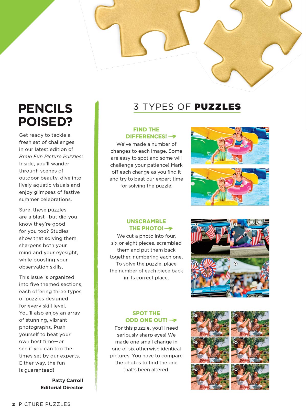 Brain Fun - Picture Puzzles: Spot 300 Differences, Ultimate Brain
