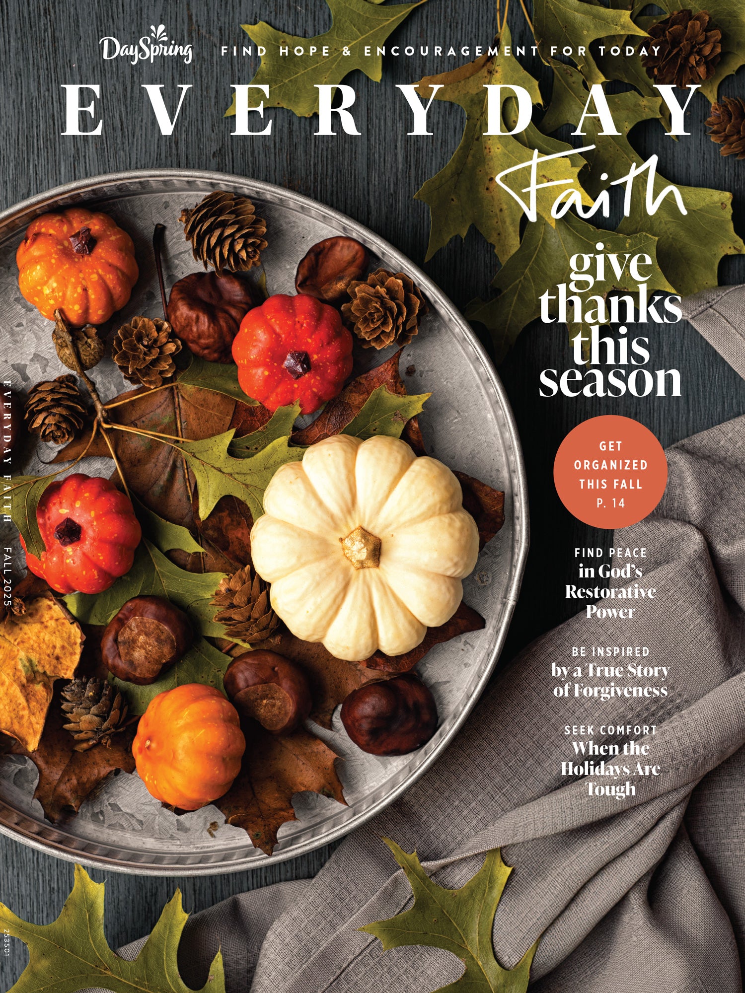 Dayspring - Fall 2025: Everyday Faith, Find Hope & Encouragement, God ...