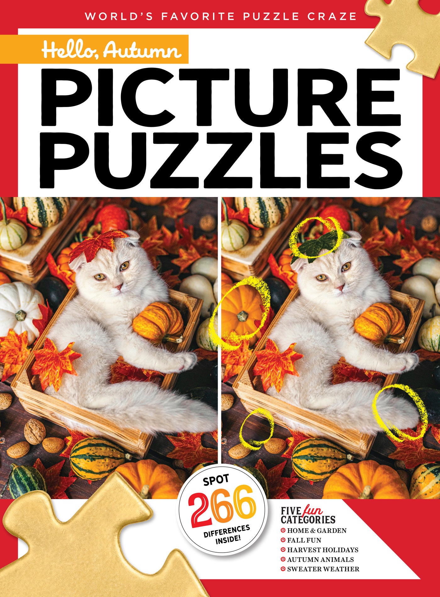 Brain Fun – Magazine Shop US