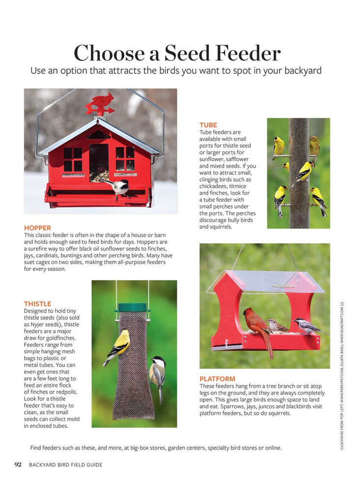 Birds & Blooms - Backyard Field Guide: 60+ Bird Profiles, Identificati ...