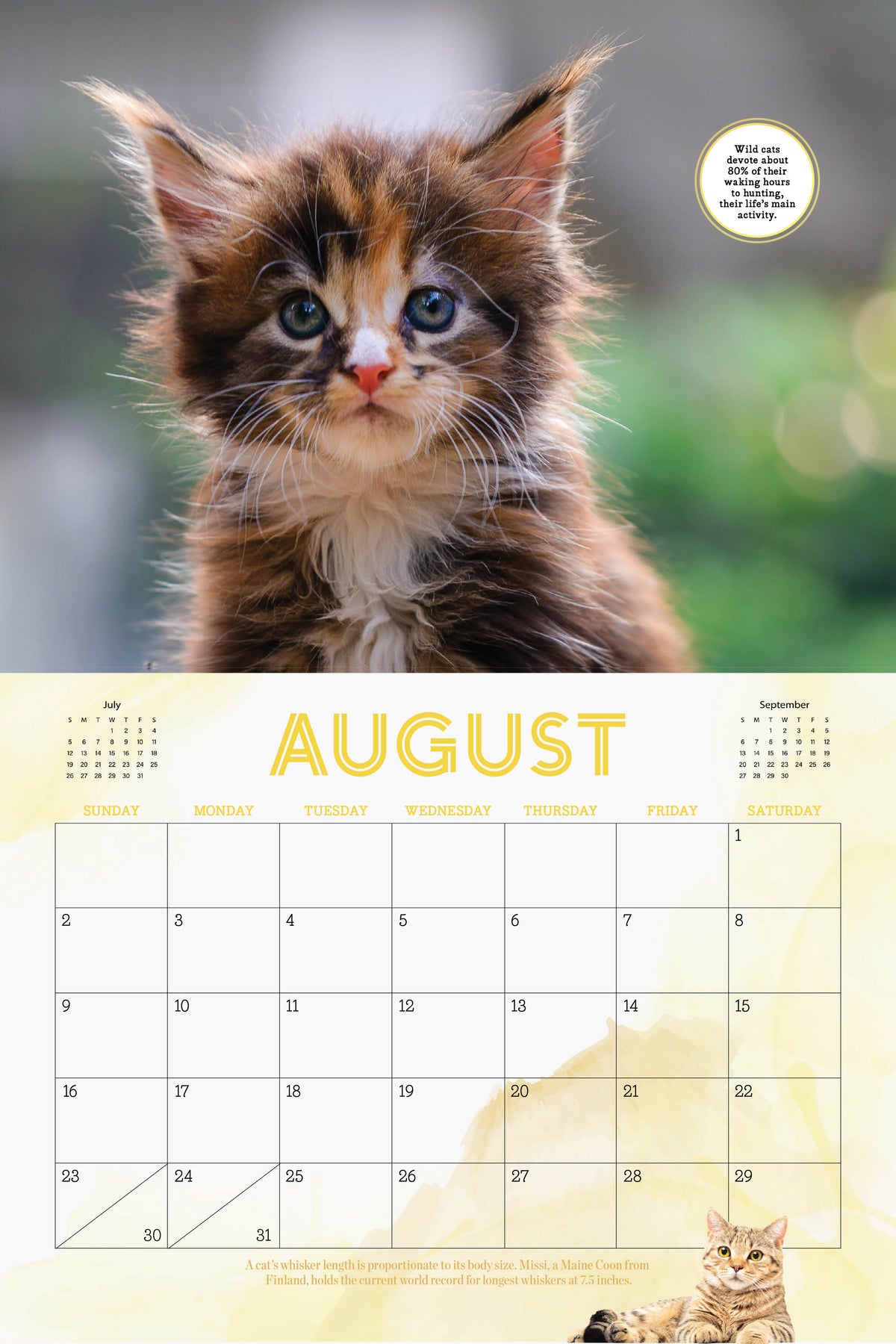 Cat Calender Fall Cute Cats - 2026 Calendar: A Year Of Playful, Lovable & Adorable Furry ...