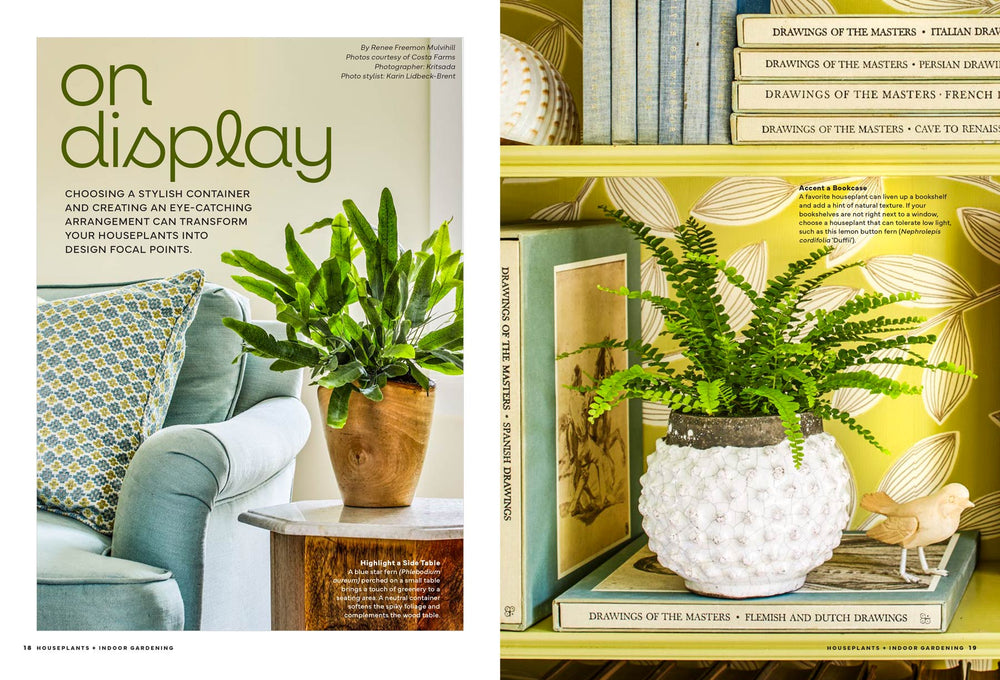 house plant magazine Houseplants Magazine Issue-61
