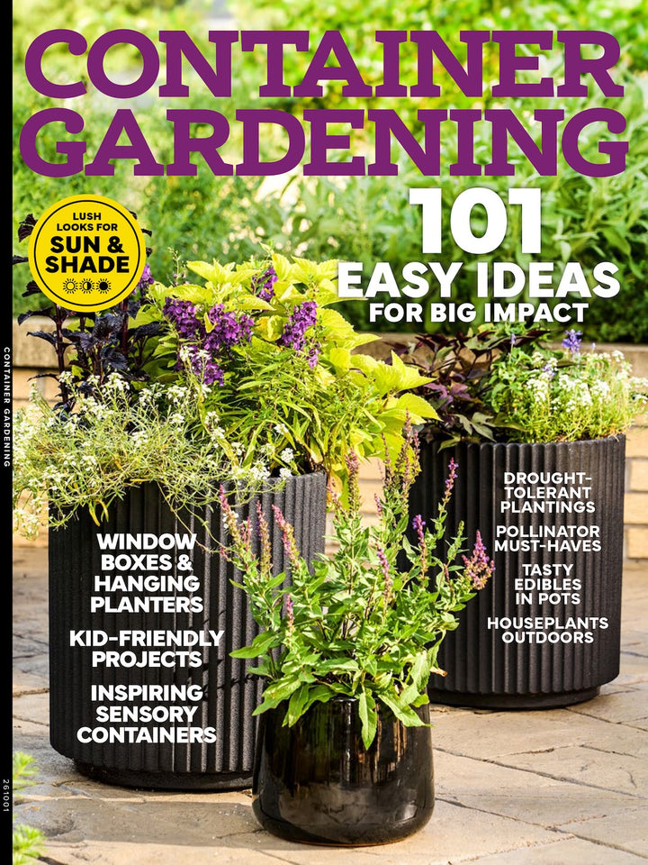 Container Gardening - 101 Easy Ideas For Big Impact: Window Boxes & Ha ...