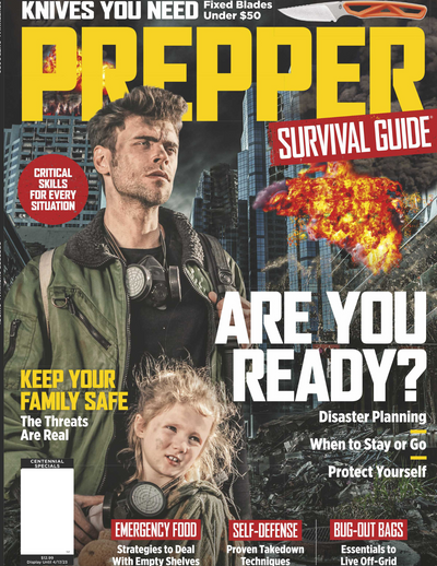 Prepper Survival Guide - Are You Ready No. 17: Critical Skills For Every Situation Disaster Planning When To Stay Or Go Protect Yourself - Magazine Shop US