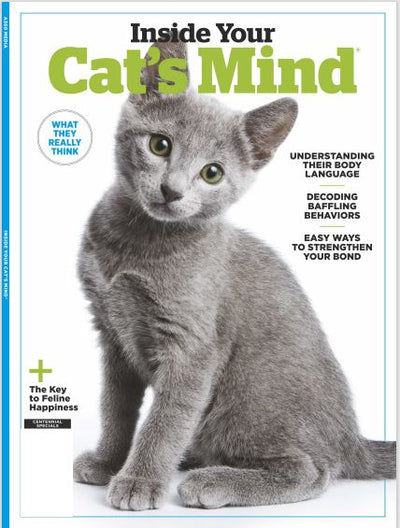 Cats - Inside Their Mind: Understand Their Body Language Decoding Baffling Behaviors Easy Ways to Strengthen Your Bond - Magazine Shop US