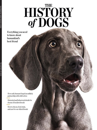 History of Dogs - Why Dogs Think, Look & Act The Way They Do. Learn Tips & Tricks On How To Train, Feed & Care For Your Four-Legged Friends (Cover Varies) - Magazine Shop US
