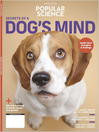 Popular Science - Secrets of a Dogs Mind: Decoding Your Pet's Body Language and Figuring Out Their Thoughts and Feelings! Find Out the Real Meaning Behind All of the Woofs, Barks and Growls! - Magazine Shop US