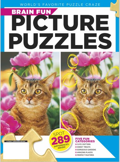 Brain Fun - Picture Puzzle: Spot the Difference! Can You Find All 289 Differences? Five Categories Cute Critters, Sweet Treats, Gorgeous Gardens, Amazing Places, Perfect Pastimes - Magazine Shop US