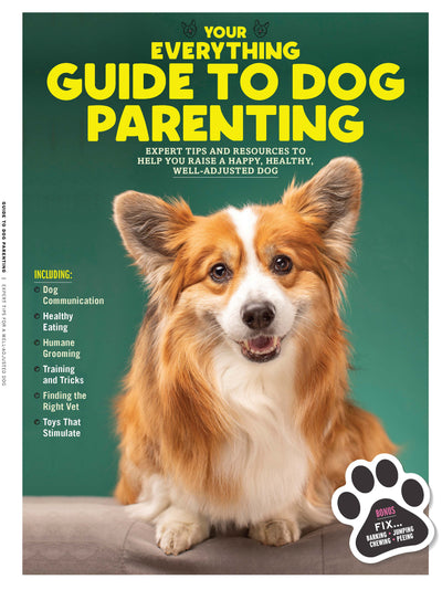 Guide to Dog Parenting - Expert Tips for a Well Adjusted Dog Toys That Stimulate Training & Tricks Humane Grooming Finding The Right Vet - Magazine Shop US