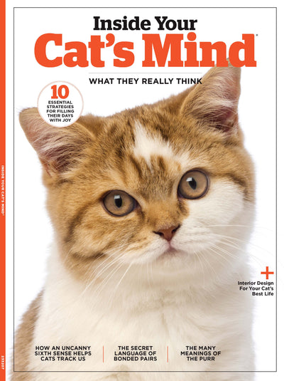 Inside Your Cats Mind - What They Really Think & Need, Dr. Zazie Todd & Mikel Delgado Animal Behaviorist, 10 Essential Strategies For Their Happiness, The Many Meanings Of The Purr & More! - Magazine Shop US