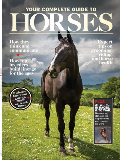 Horses - The Complete Guide: Expert Riding & Training Tips, Stable Care, Breeding Mastery, Racing, Betting, Breeds From Clydesdales To Arabians, Icons Like Secretariat & History's Noblest Steeds! - Magazine Shop US