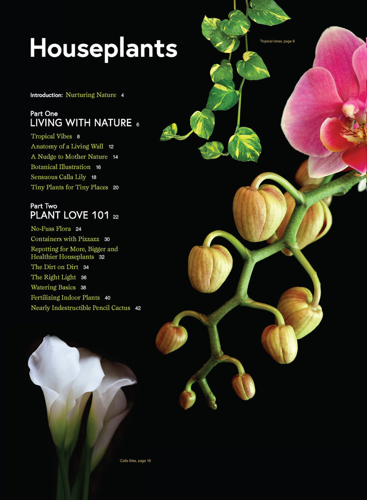 Houseplants - Easy To Care For Varieties: Gardening Guide, Plant