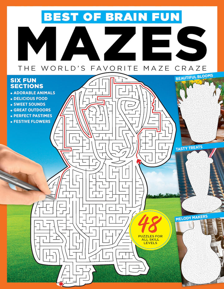 Brain Fun - Mazes: 48 Puzzles For All Skill Levels, Six Sections: Colo ...