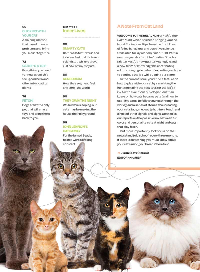 Inside Your Cat's Mind Reading Cat's Face, Decoding Tails, Whiskers