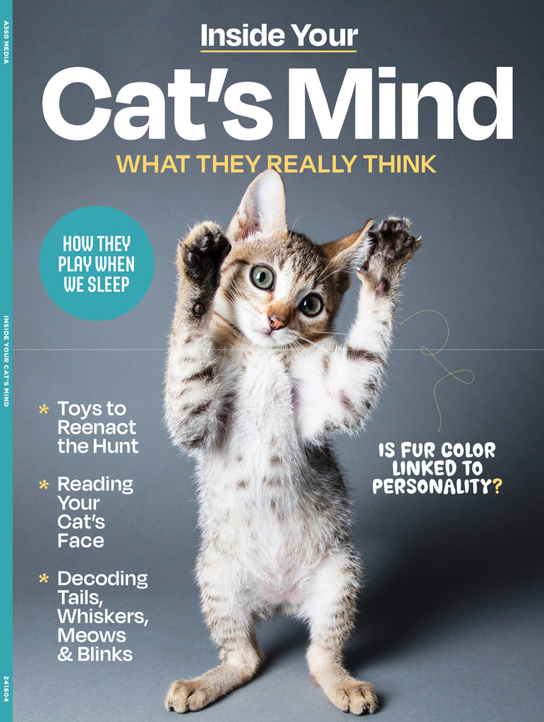 Inside Your Cat s Mind Reading Cat s Face Decoding Tails Whiskers Magazine Shop US