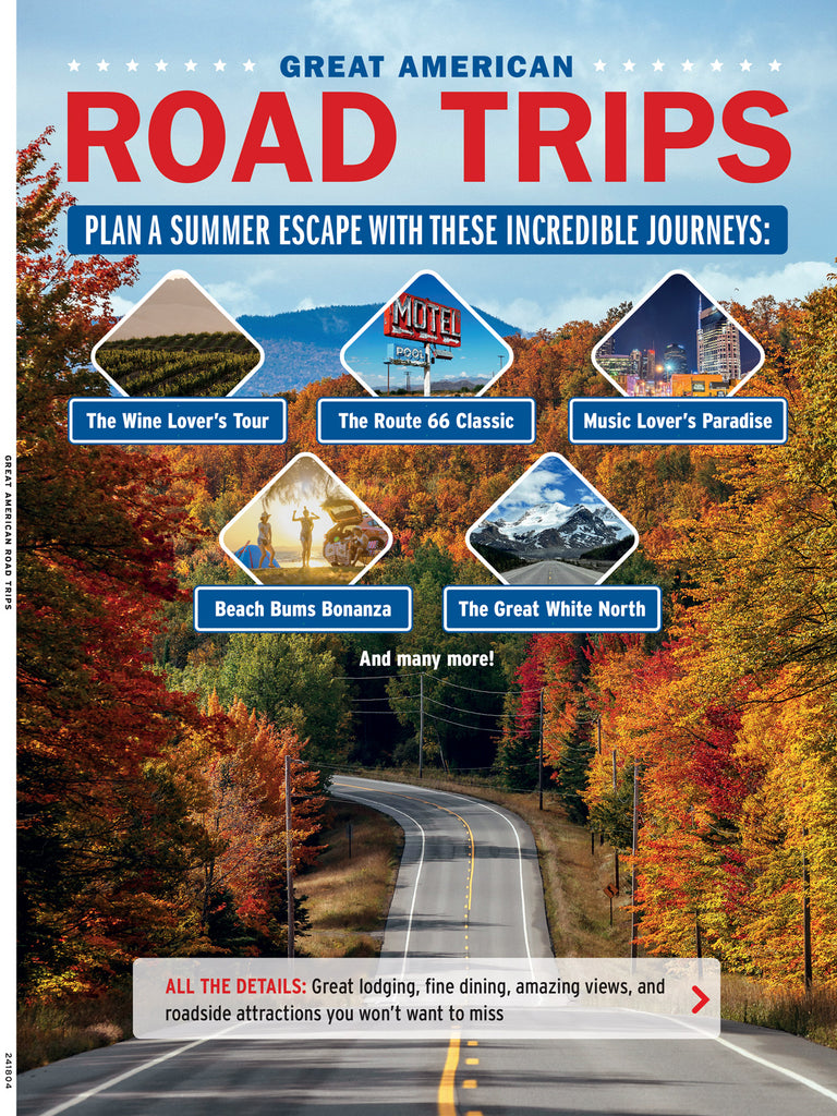 Road Trip Revelations: Tales from the Open Road