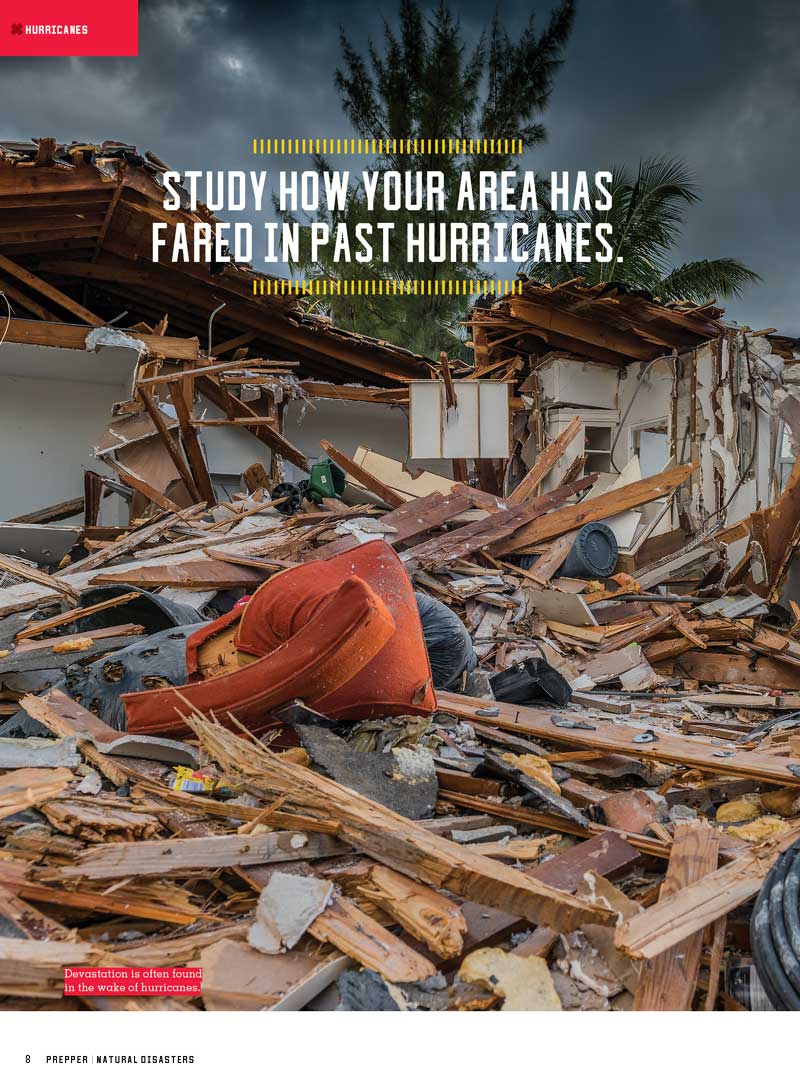 Prepper - Natural Disasters Survival Guide 2024 Edition
