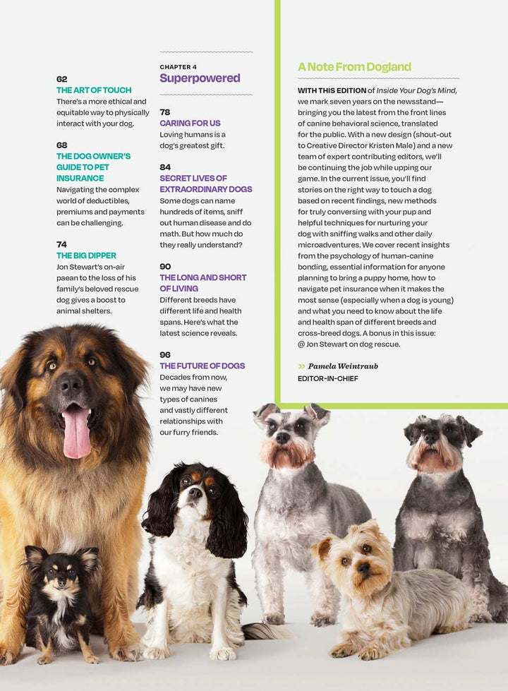 Inside Your Dog's Mind What They Really Think: Right Way To