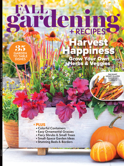 Newest Releases – Magazine Shop US