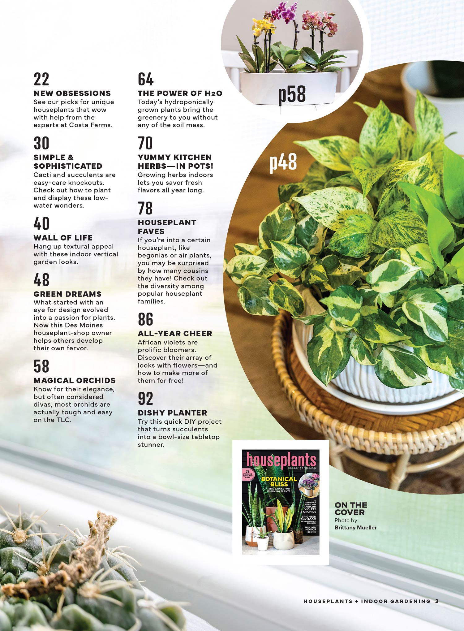 Houseplants & Indoor Gardening - Botanical Bliss: Explore The