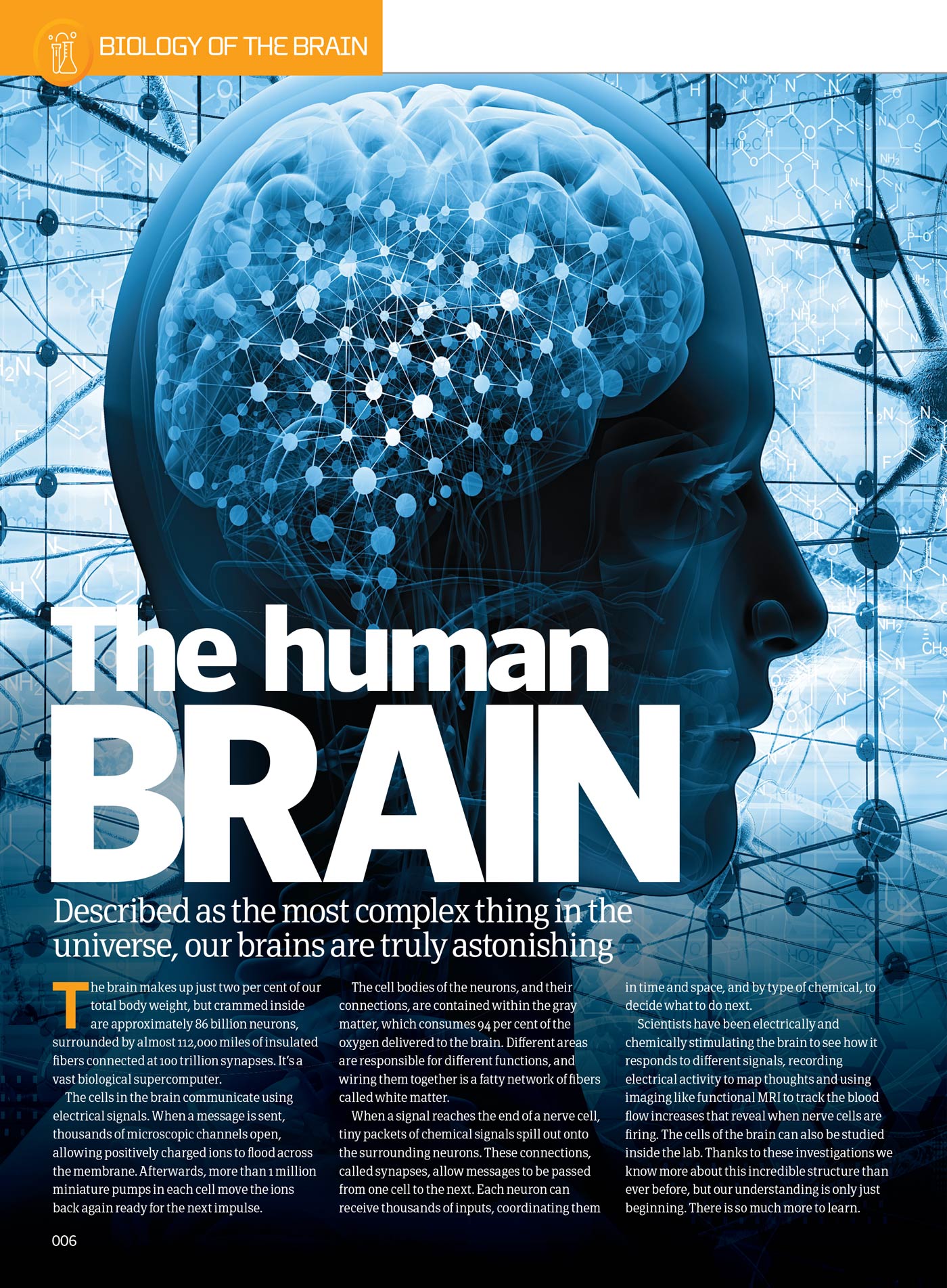 Inside Your Brain - The Most Complex Computer: Consciousness