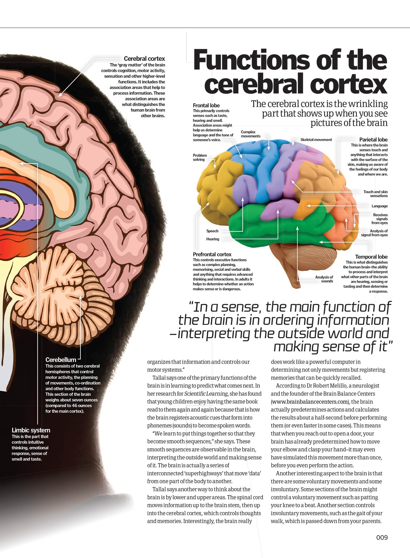 Inside Your Brain - The Most Complex Computer: Consciousness