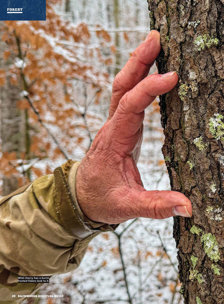 Backwoods Survival Guide - Living Off The Land No. 37: 200+ Tips For S ...