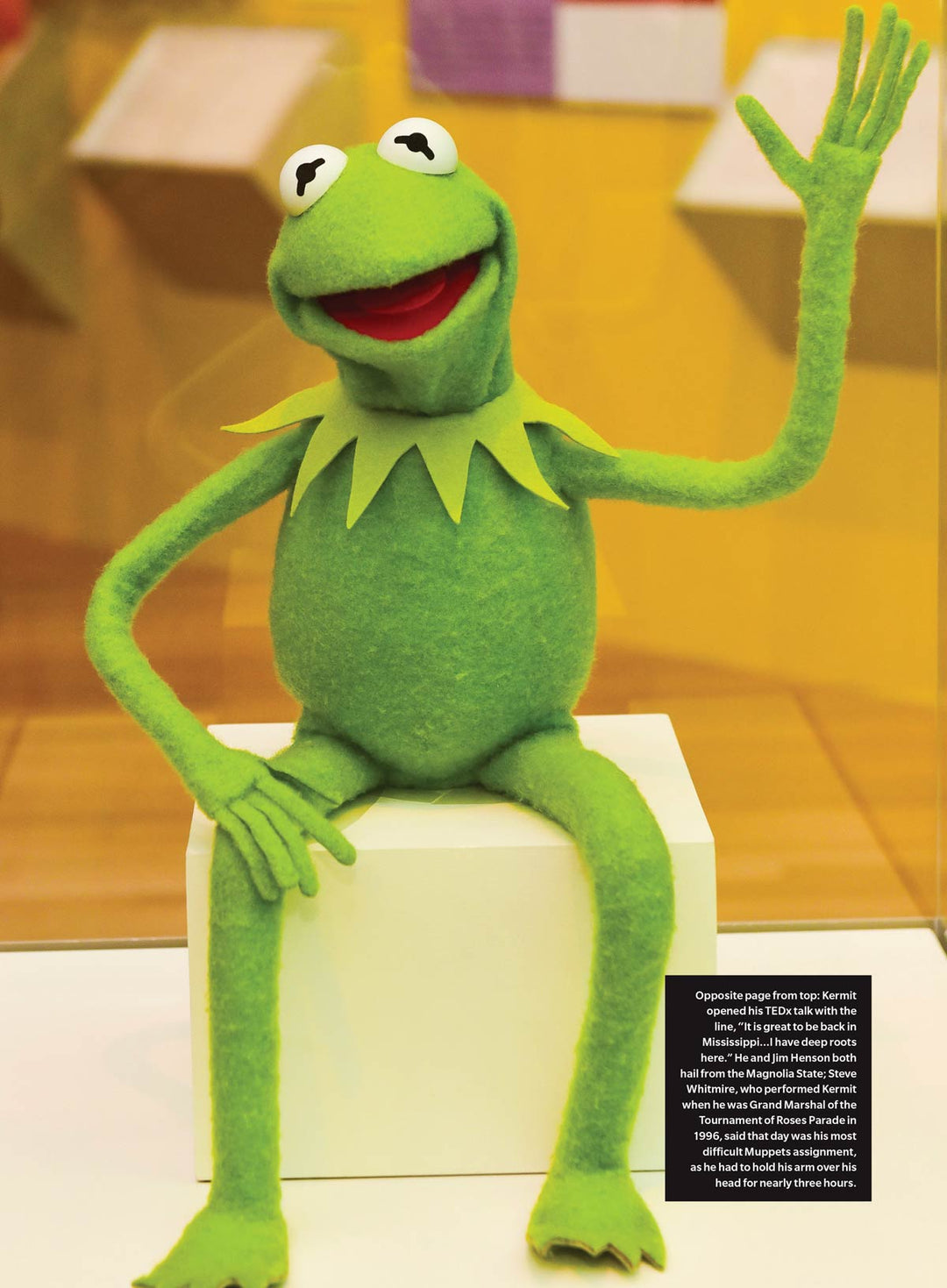 The Muppets - Super Unofficial Fan Guide: 50+ Years Of Fun