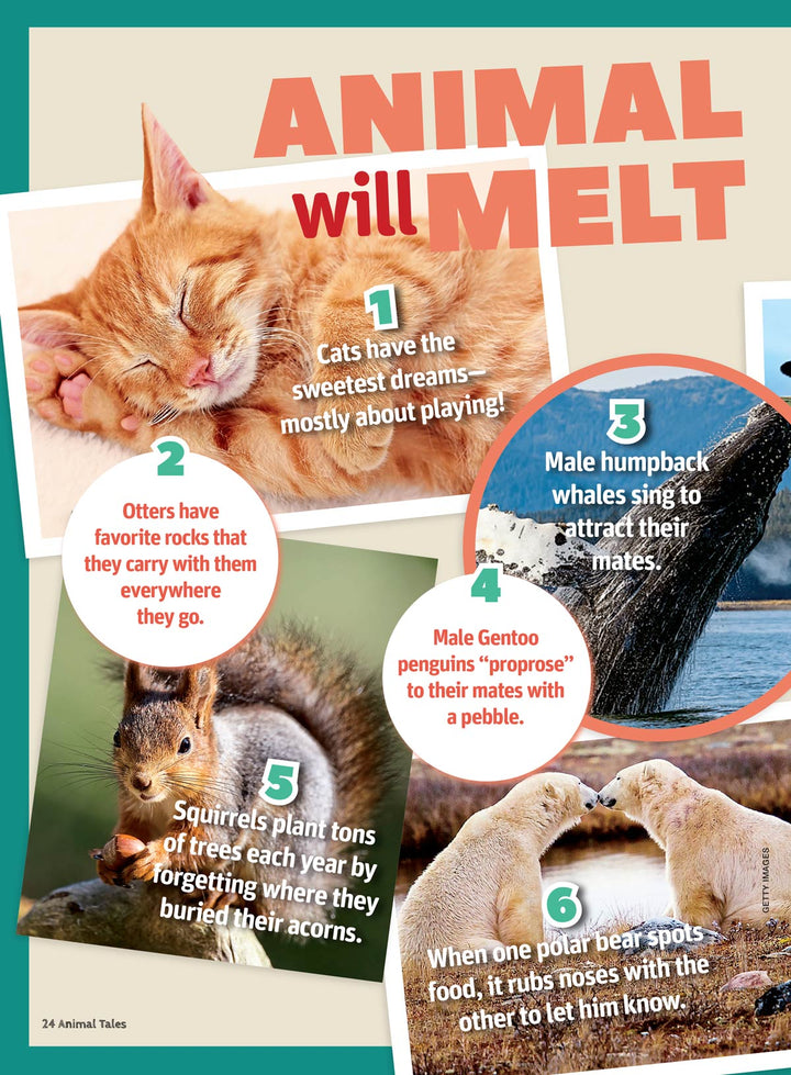 Animal Tales - 100 Must Know Animal Facts: All About Dinosaurs, World ...