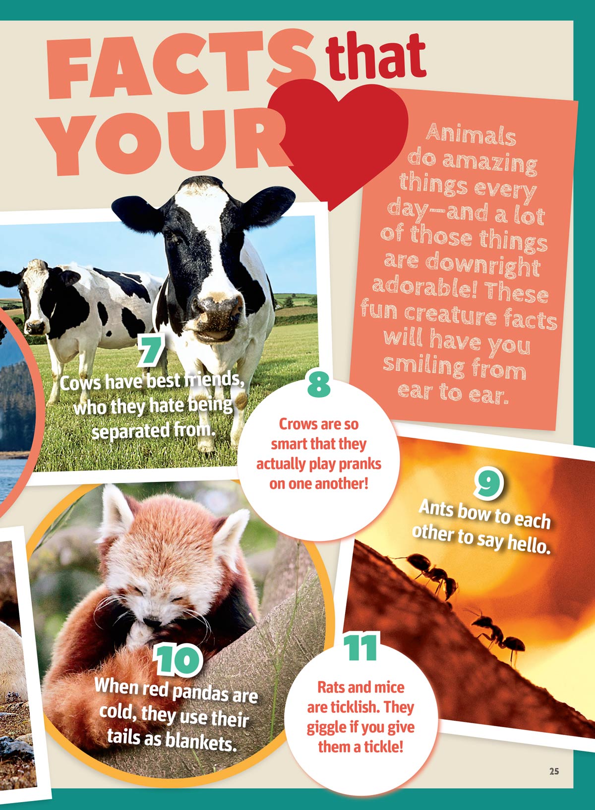 Animal Tales - 100 Must Know Animal Facts: All About Dinosaurs, World ...