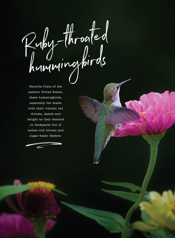 Birds & Blooms - World Of Hummingbirds: Must-See U.S. Species, 50+ Pla ...