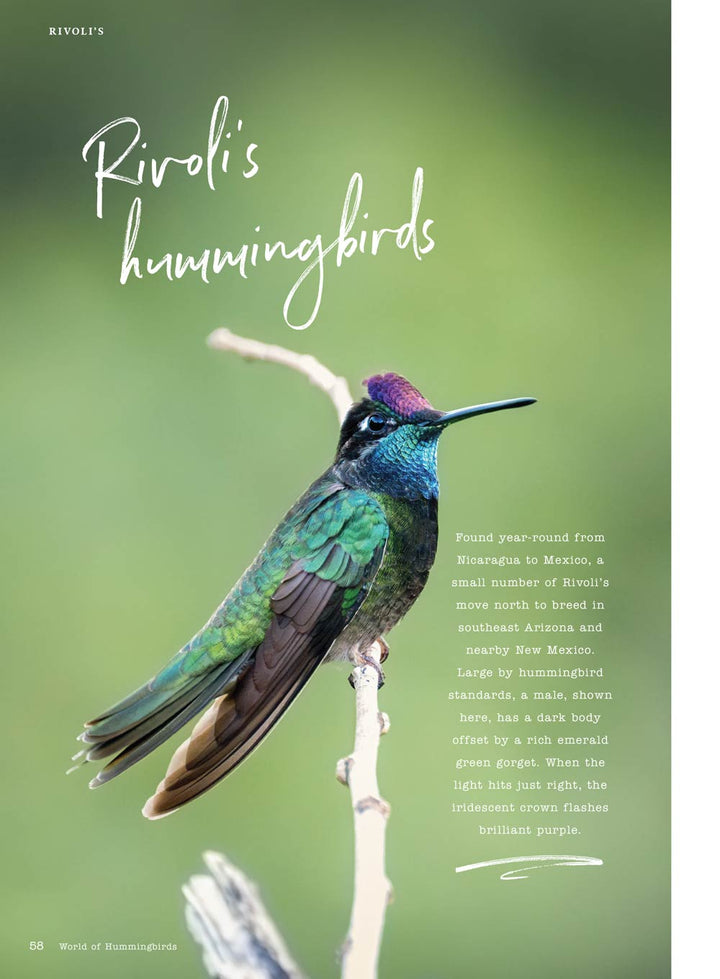 Birds & Blooms - World Of Hummingbirds: Must-See U.S. Species, 50+ Pla ...