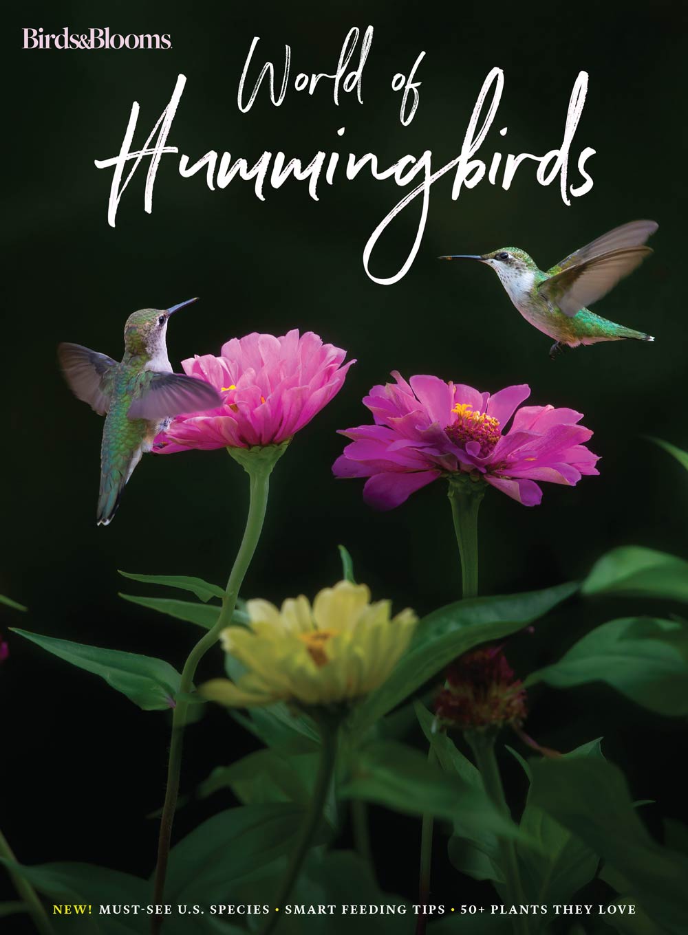 Birds & Blooms - World Of Hummingbirds: Must-See U.S. Species, 50+ Pla ...