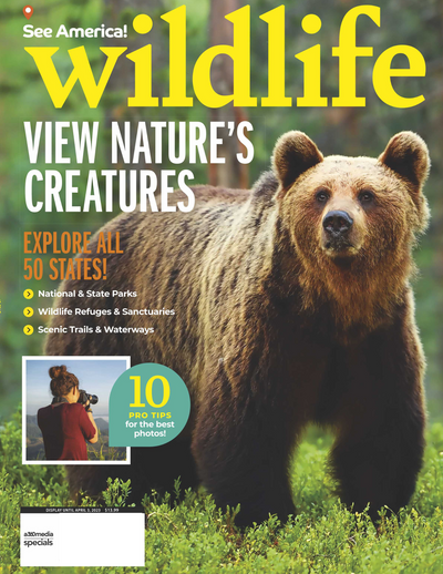 Wildlife- View Nature's Creatures Explore All 50 States National & State Parks Wild Refuges & Sanctuaries + Bonus: 10 Pro Tips For Best Photos - Magazine Shop US