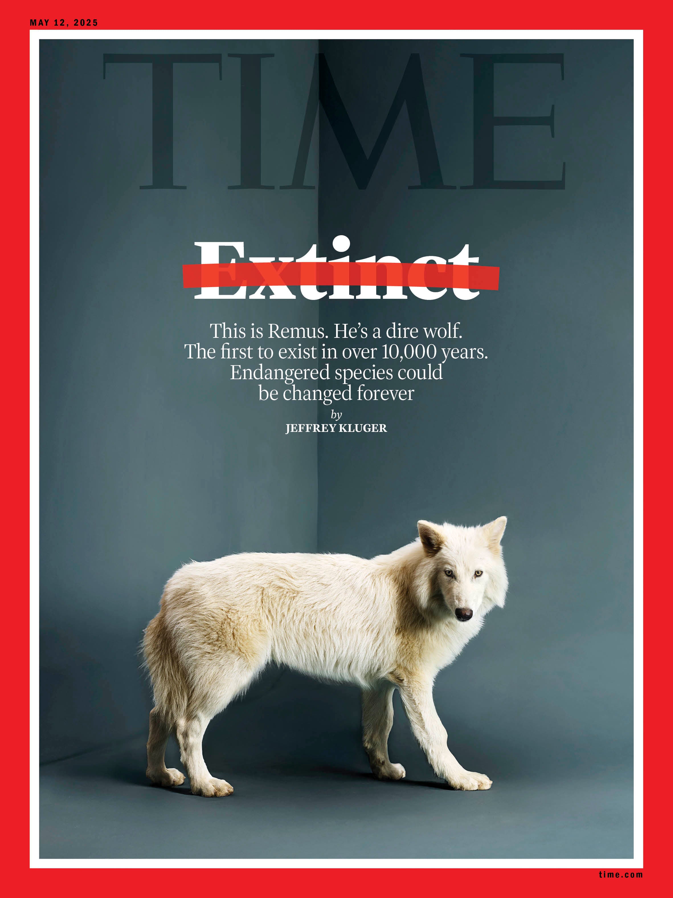 TIME Magazine - 05.12.25 Edition: WOLF Extinct no more – Magazine