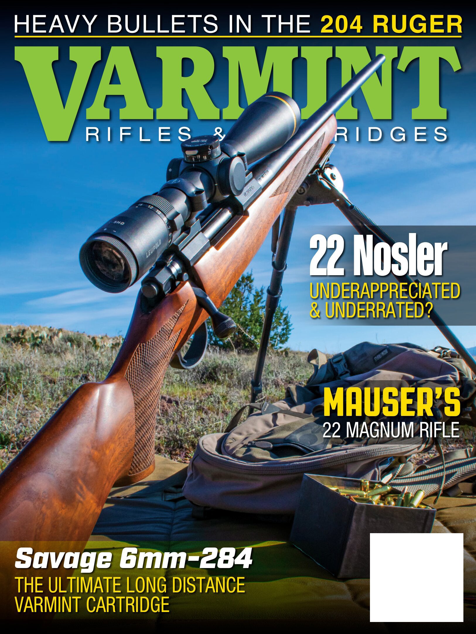 Spring Store Bullet Varmint Rifles & Cartridges - Spring 2026: Heavy Bullets In The 204 Ru ...