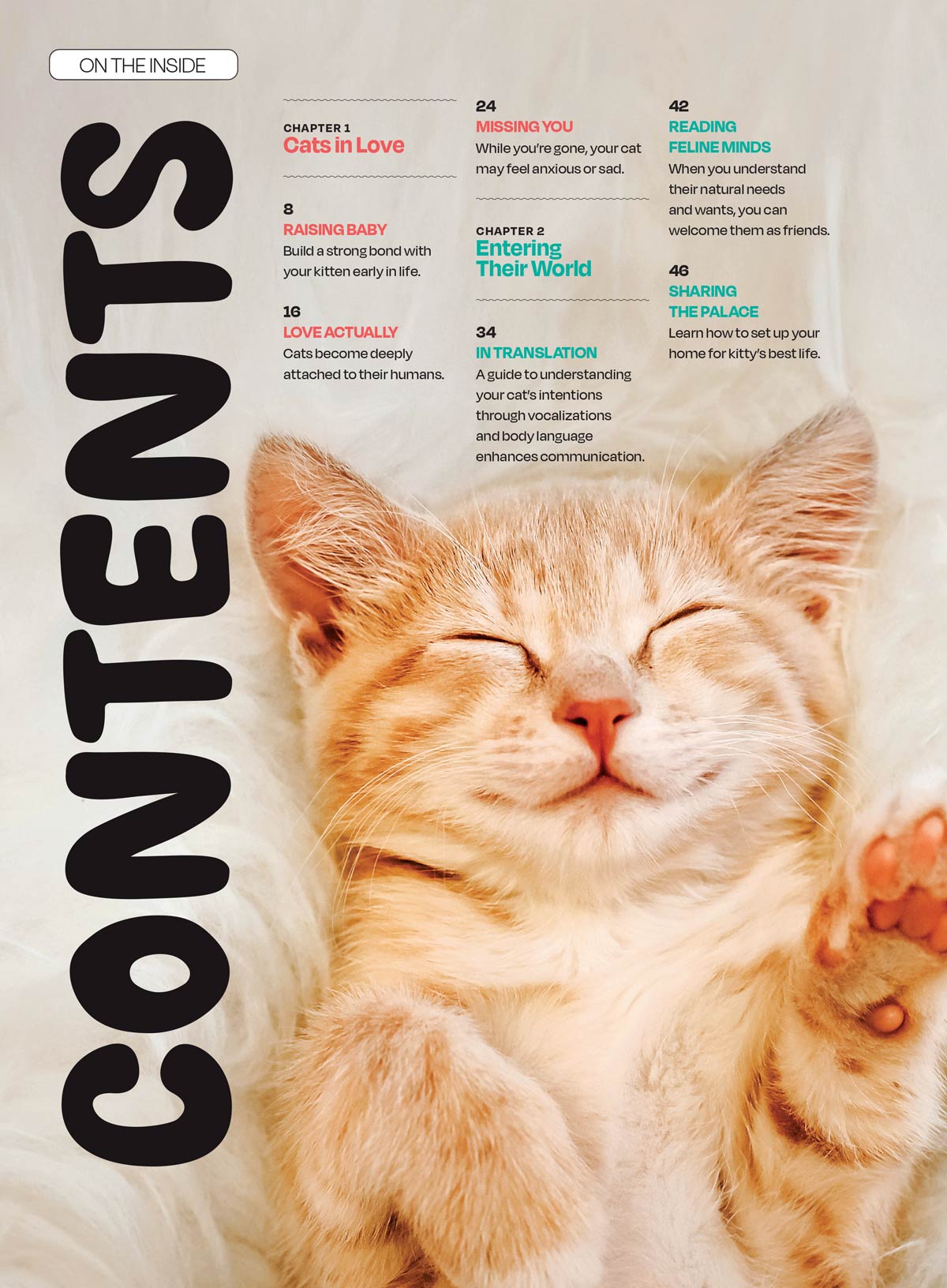 Inside Your Cat’s Mind - Essential Tips For Bonding, Communication, Un ...