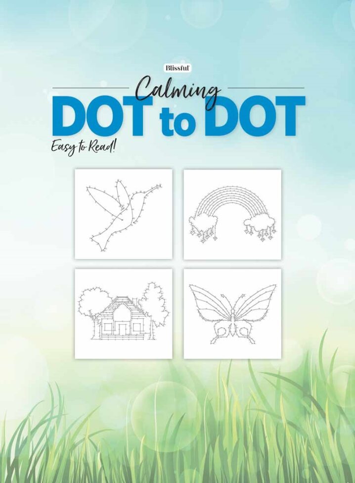 calming-dot-to-dot-over-8-000-dots-from-easy-to-advanced-adorable-magazine-shop-us