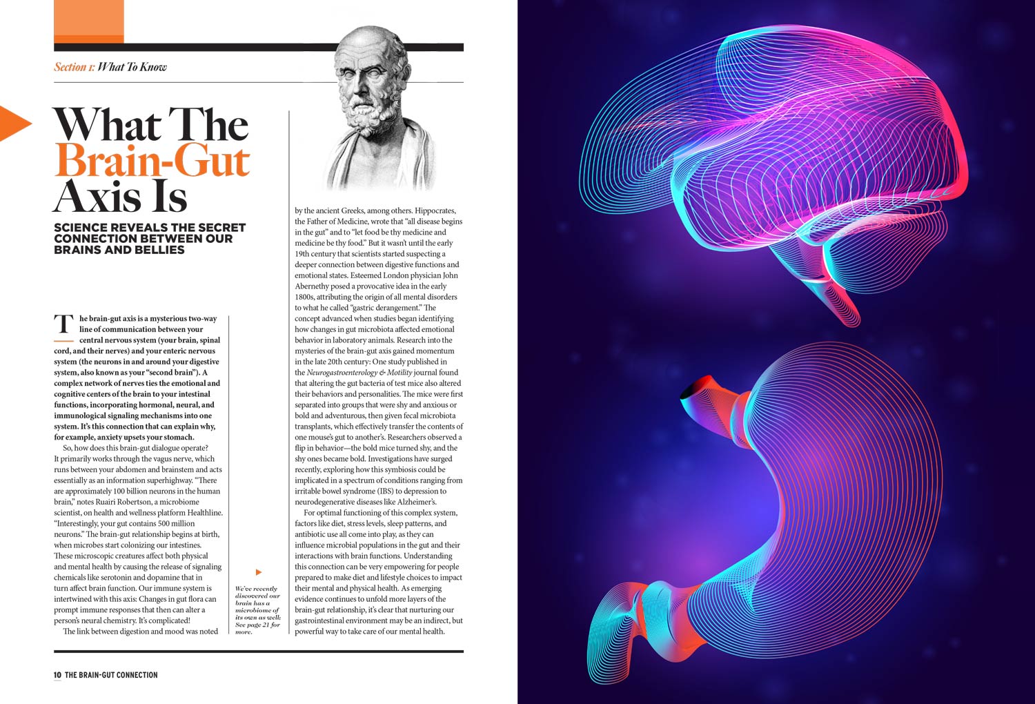Brain-Gut Connection - Your Guide On Gut Health: Enhance Brain Functio ...