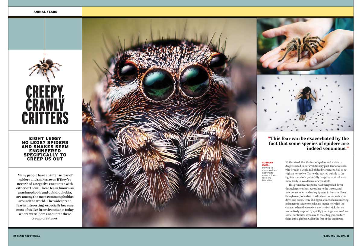 Fears & Phobias - Sources Of Fears, Why They're So Powerful, Promising ...