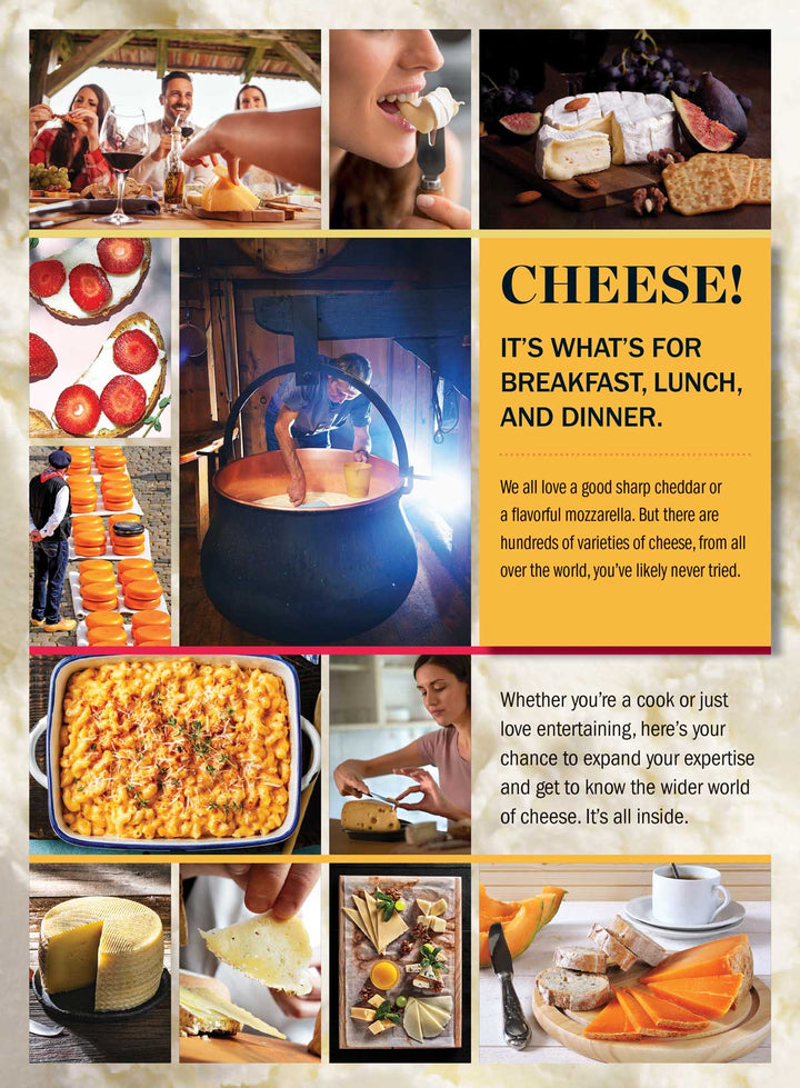 Ultimate Cheese Lover's Handbook - Where They're From, How They're Mad ...