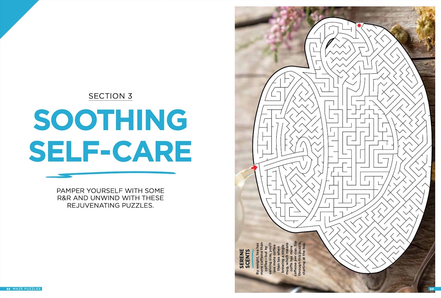 Brain Fun - Mazes: 48 Puzzles For All Skill Levels, Six Sections